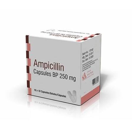 AMPICILLIN 250MG